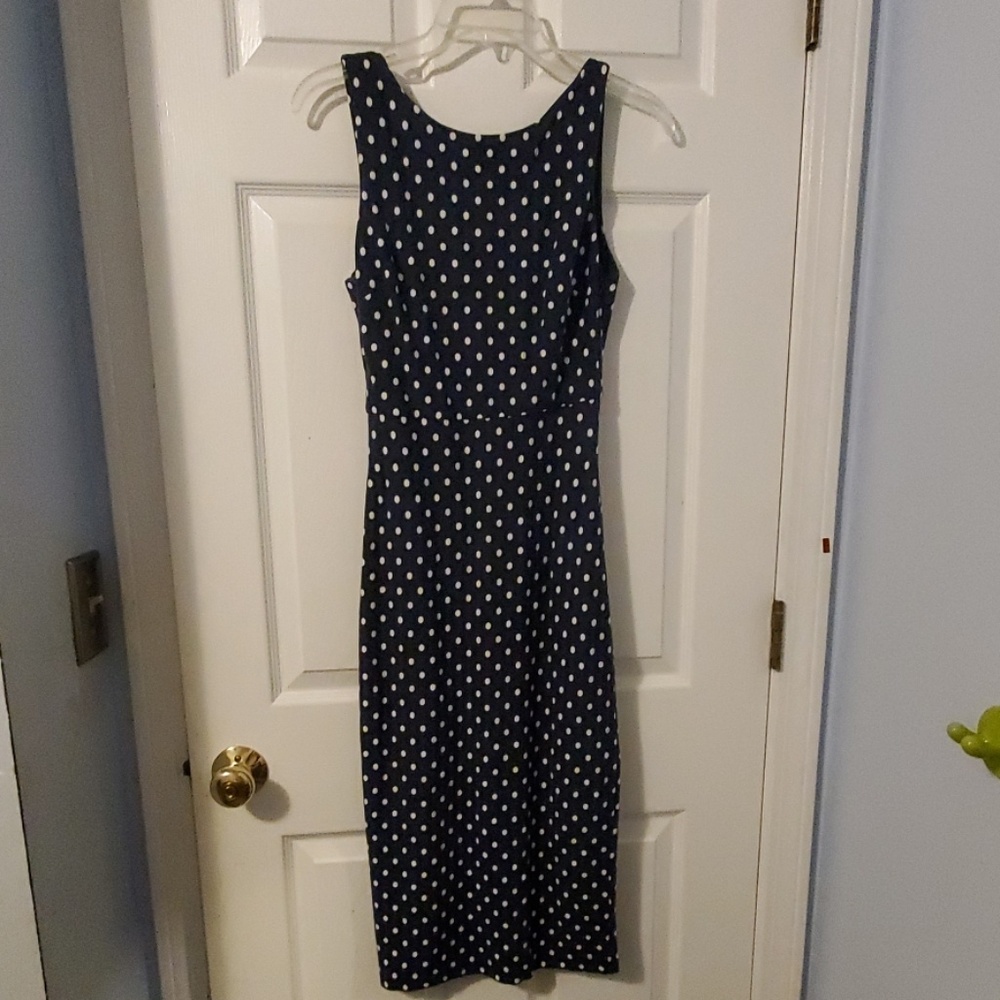 Zara Polka Dotted Navy and White Midi